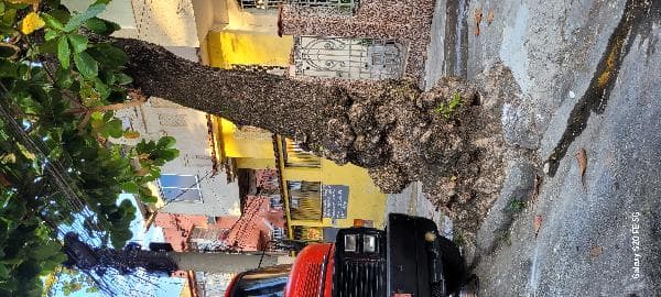 Excelente imóvel — Casa no Ramos, Rio de Janeiro - RJ, Nº 67, 2 quartos, 334m² | Venda Direta Online