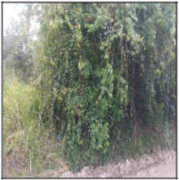 Imóvel com potencial de valorização — Terreno no Agro Brasil (sambaetiba), Itaborai - RJ, Nº 0 | Venda Direta Online