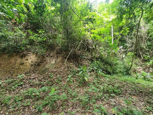 Oportunidade Caixa — Terreno no Piratininga, Niteroi - RJ, N. SN LT 09, 427,5m² | Venda Online