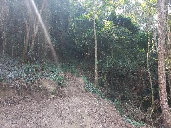 Imóvel com excelente localização — Terreno no Piratininga, Niteroi - RJ, Nº 0, 481,3m² | Venda Online