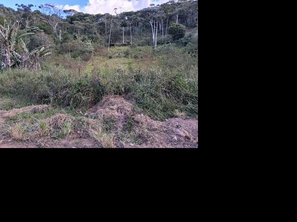 Oportunidade certa — Terreno no Colonia Alpina, Teresopolis - RJ, N. SN QD V | Venda Online